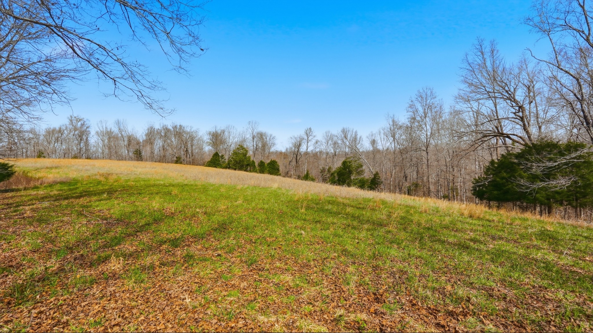 0 Herman Adams Road Cumberland City, TN 37050 - Photo 36 of 57