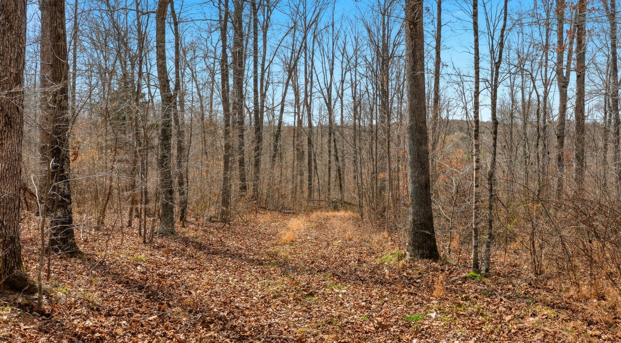 0 Herman Adams Road Cumberland City, TN 37050 - Photo 37 of 57