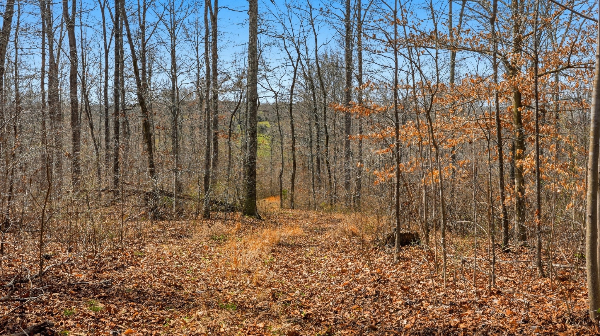 0 Herman Adams Road Cumberland City, TN 37050 - Photo 39 of 57 a view of wooden fence