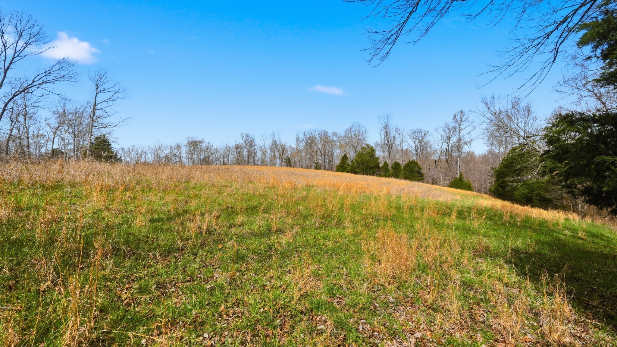 0 Herman Adams Road Cumberland City, TN 37050 - Photo 40 of 57 a view of lake view and mountain view