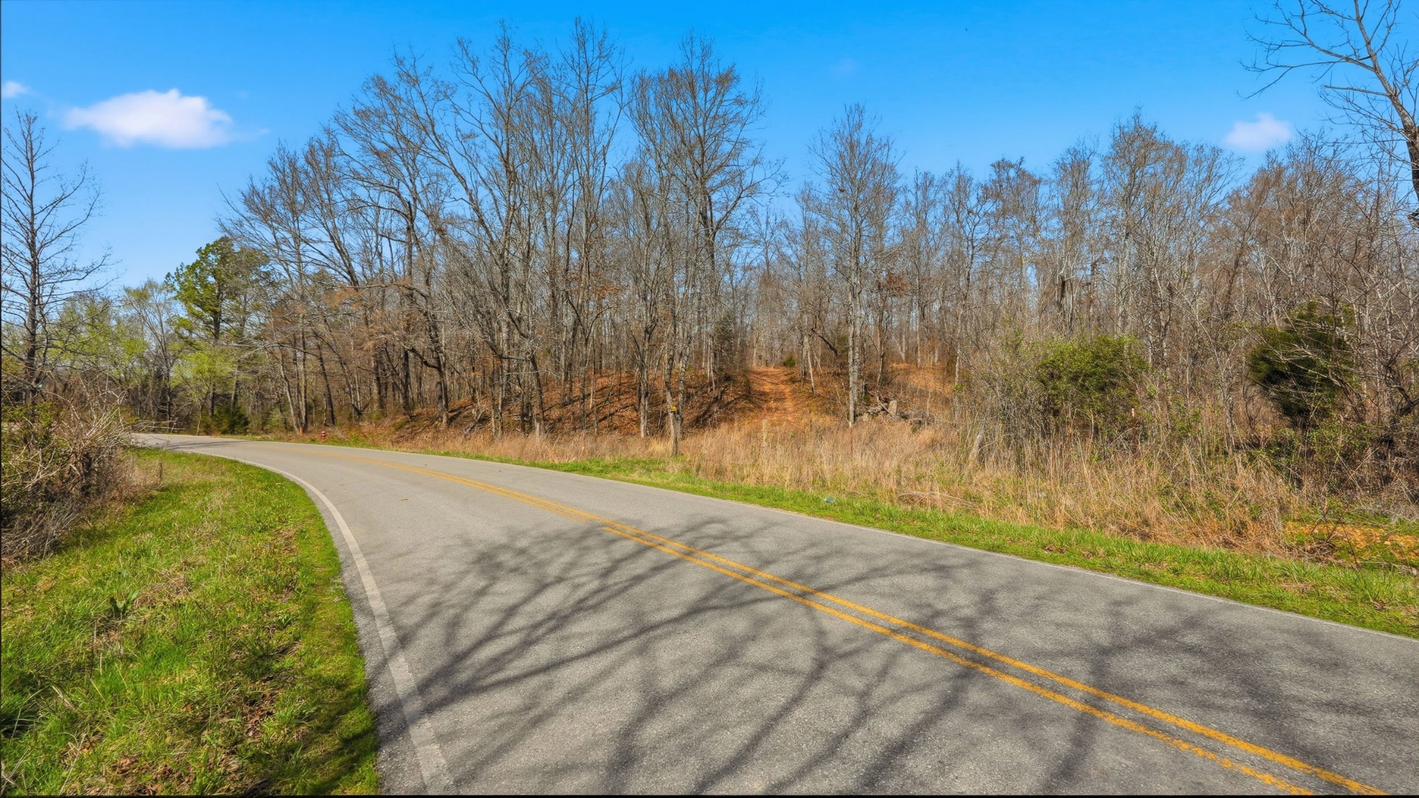 0 Herman Adams Road Cumberland City, TN 37050 - Photo 4 of 57 a view of a yard with large trees