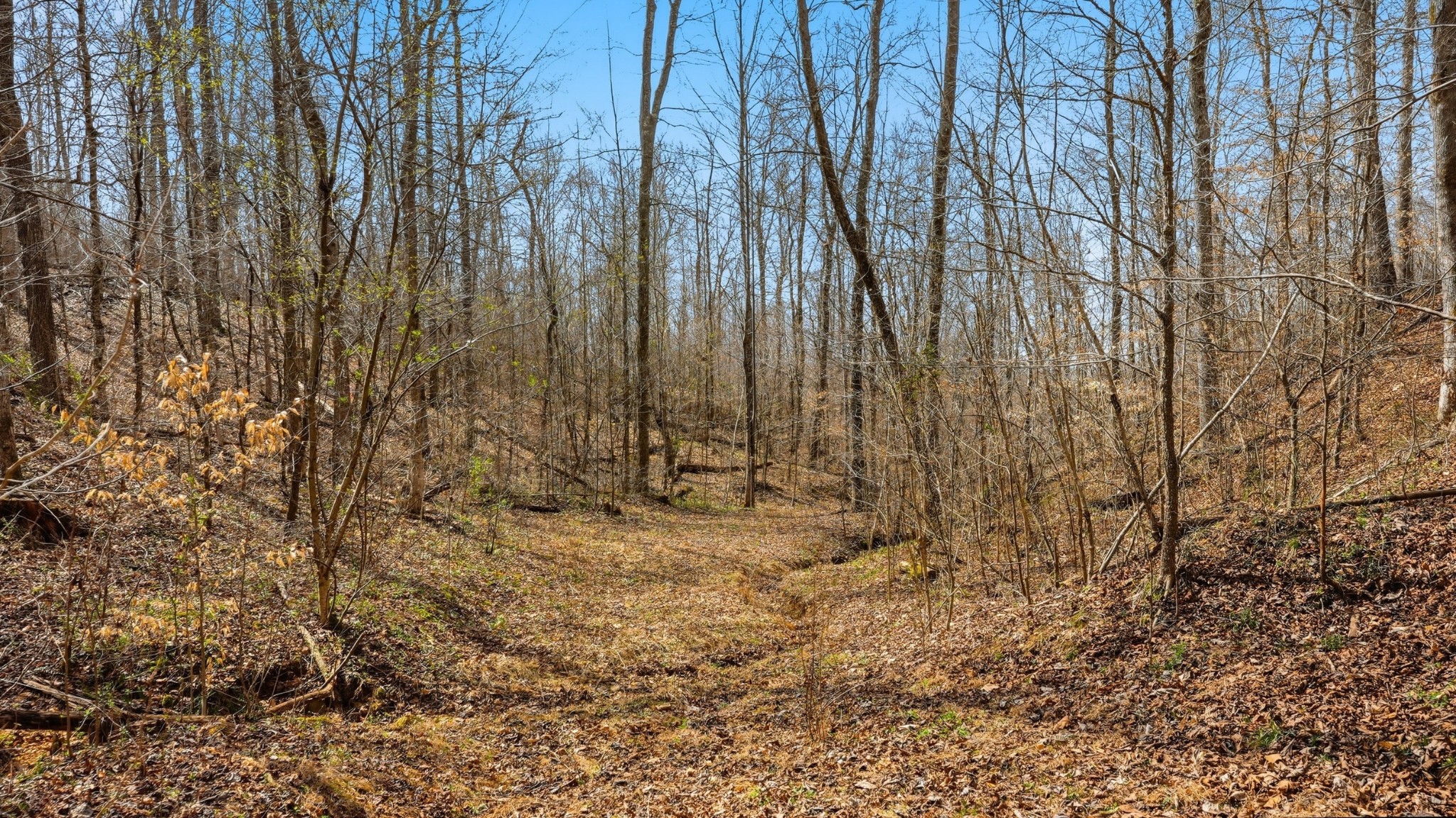 0 Herman Adams Road Cumberland City, TN 37050 - Photo 41 of 57 a view of a backyard