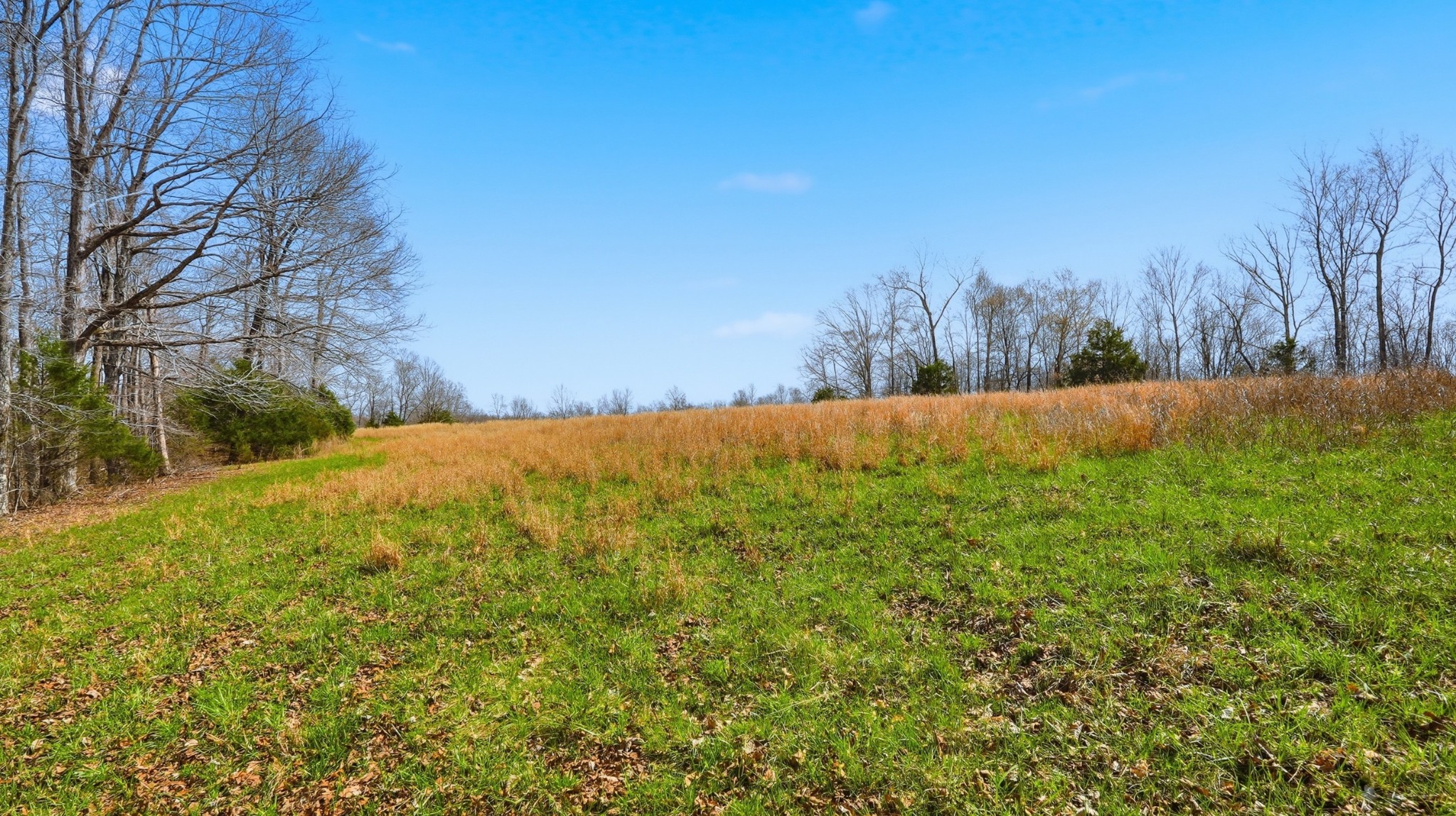 0 Herman Adams Road Cumberland City, TN 37050 - Photo 42 of 57 a view of an outdoor space and a yard