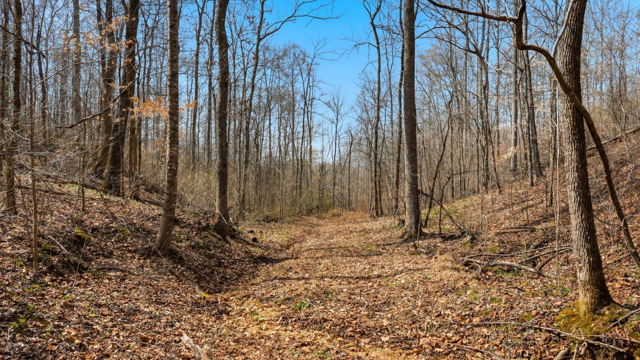0 Herman Adams Road Cumberland City, TN 37050 - Photo 43 of 57 a view of a backyard of the house