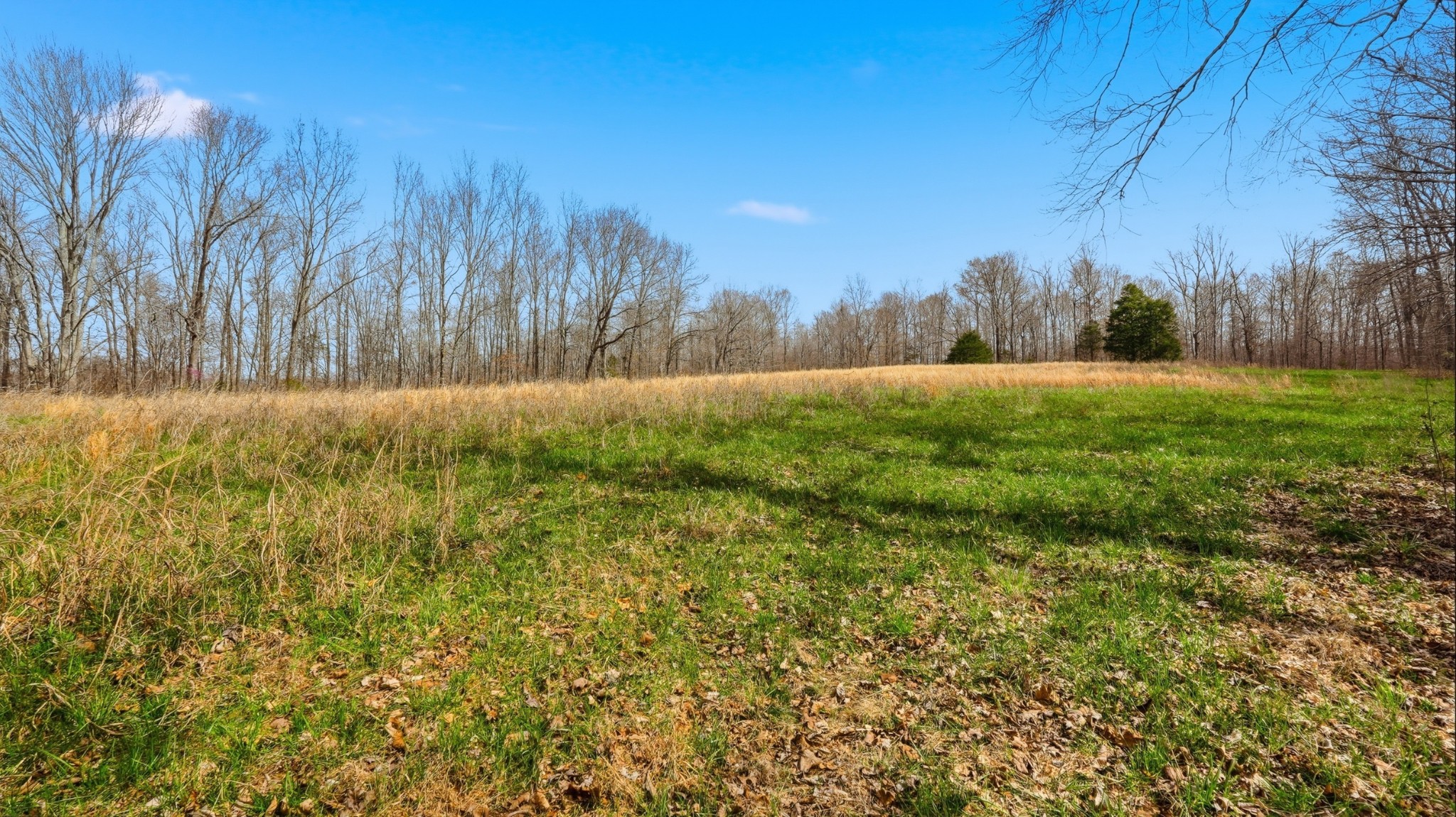 0 Herman Adams Road Cumberland City, TN 37050 - Photo 48 of 57 a view of an outdoor space and a yard