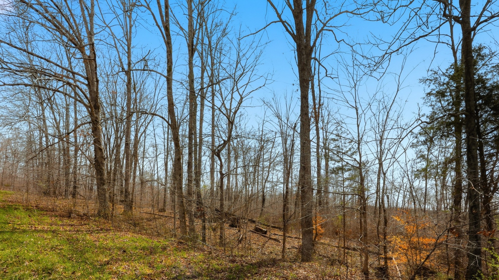 0 Herman Adams Road Cumberland City, TN 37050 - Photo 49 of 57 a view of backyard of a building