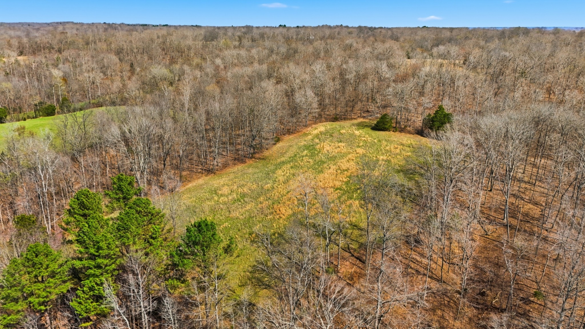 0 Herman Adams Road Cumberland City, TN 37050 - Photo 5 of 57 a view of a yard