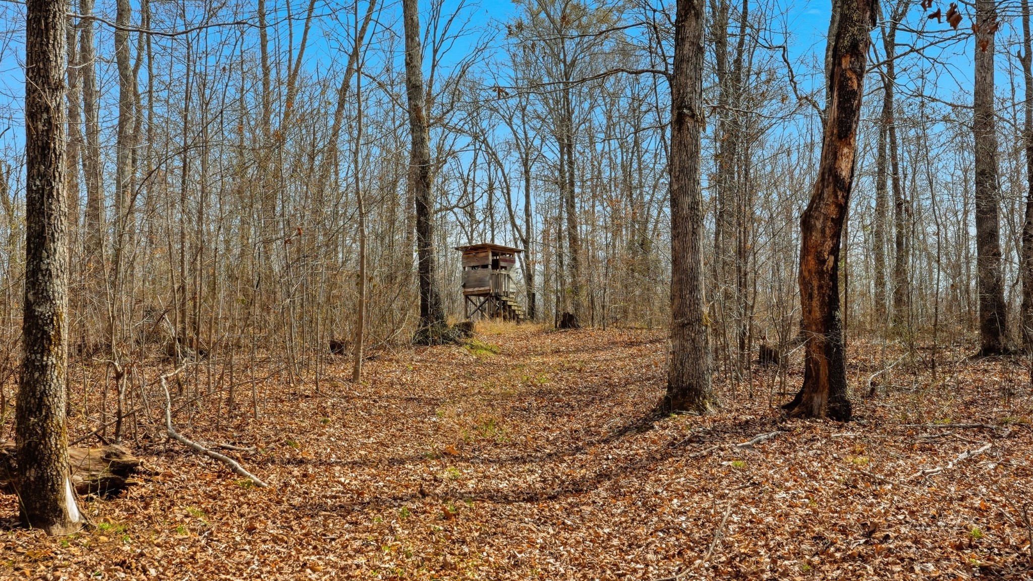 0 Herman Adams Road Cumberland City, TN 37050 - Photo 51 of 57 a view of a backyard of the house