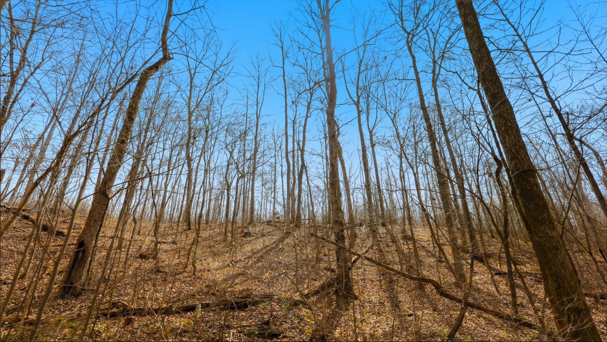0 Herman Adams Road Cumberland City, TN 37050 - Photo 53 of 57 a view of backyard with wooden fence
