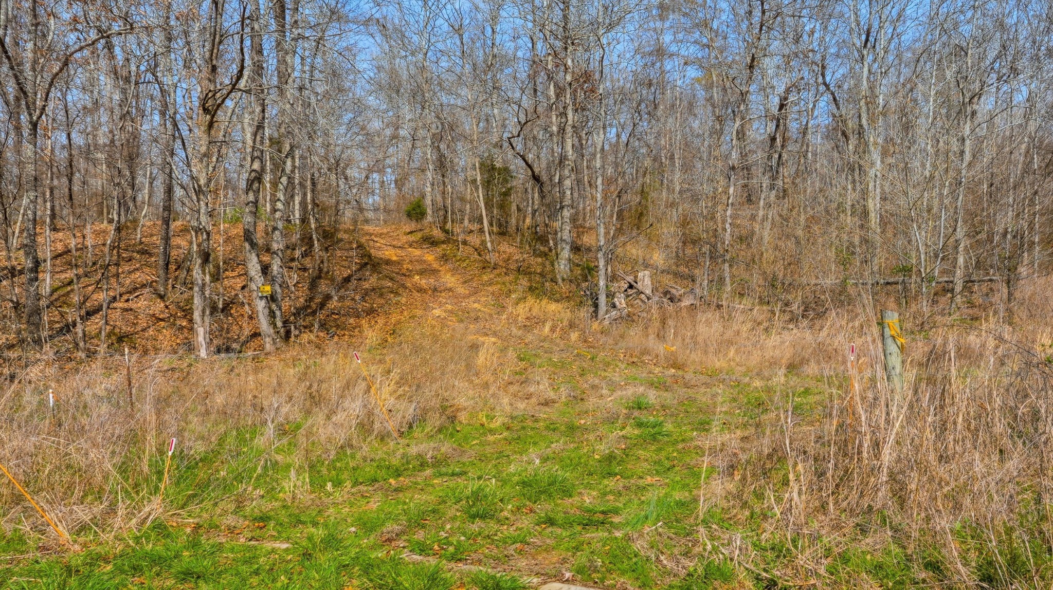 0 Herman Adams Road Cumberland City, TN 37050 - Photo 54 of 57