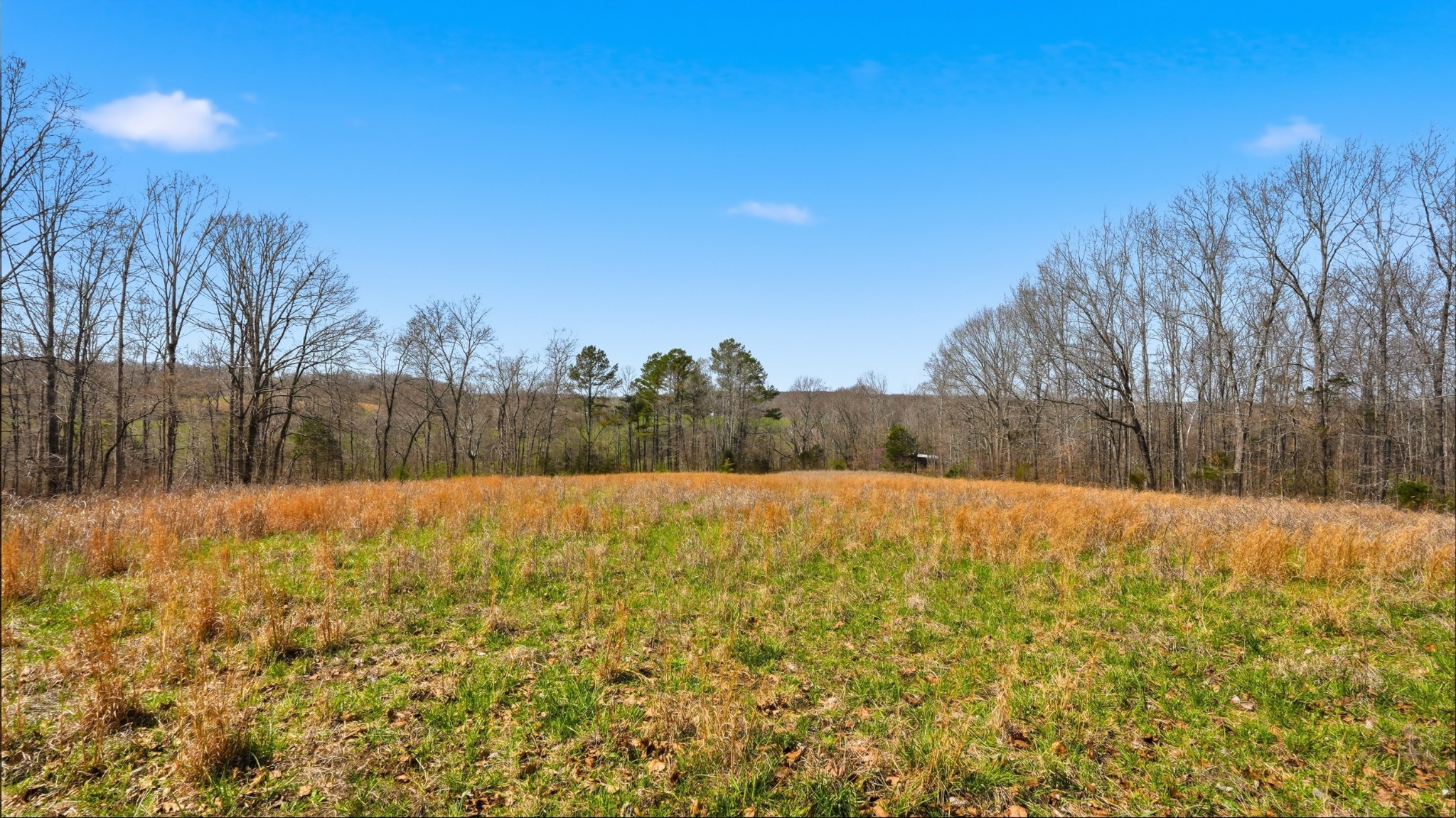 0 Herman Adams Road Cumberland City, TN 37050 - Photo 6 of 57 a view of an outdoor space and a yard