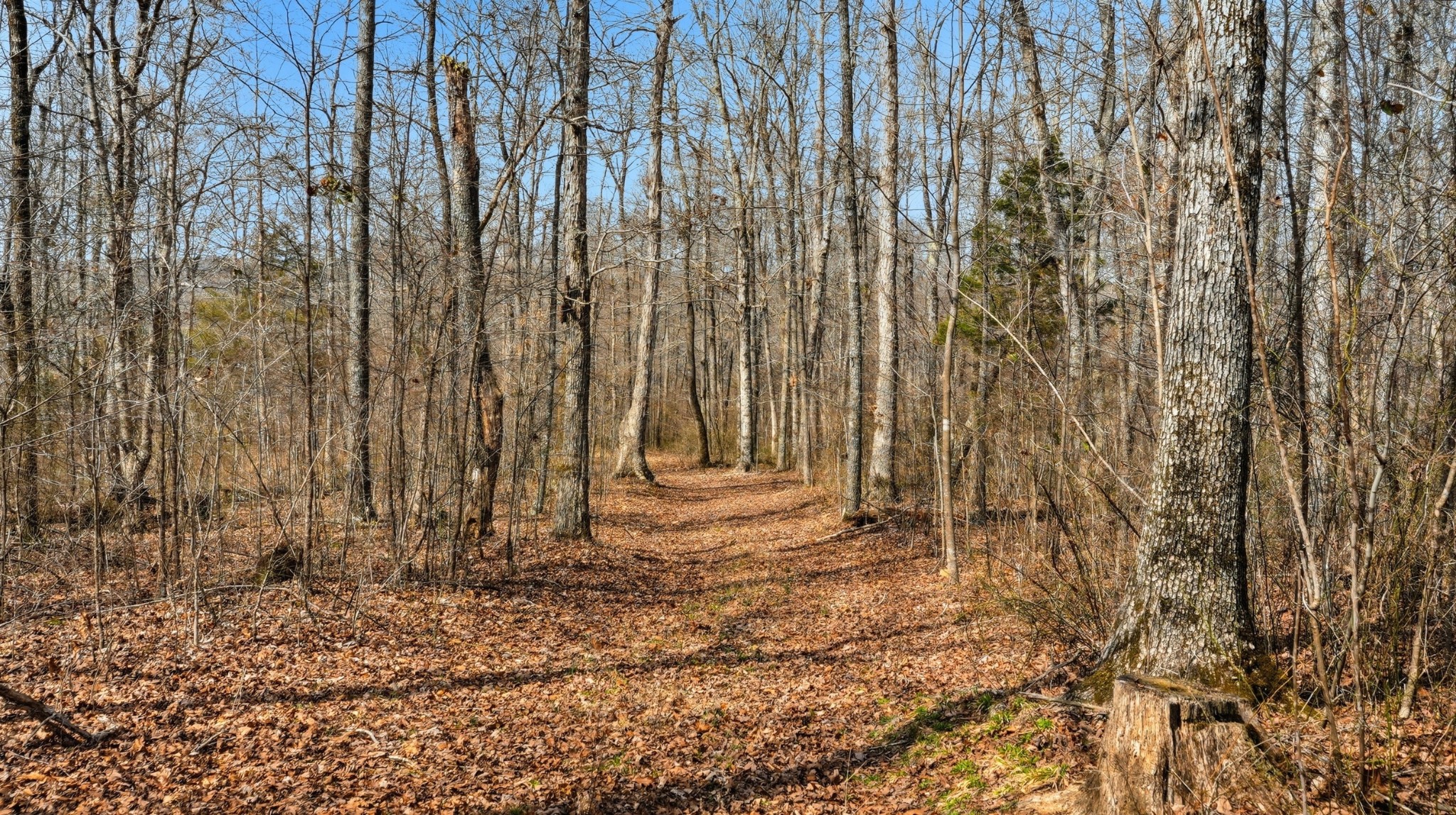 0 Herman Adams Road Cumberland City, TN 37050 - Photo 8 of 57 a view of small space with wooden fence