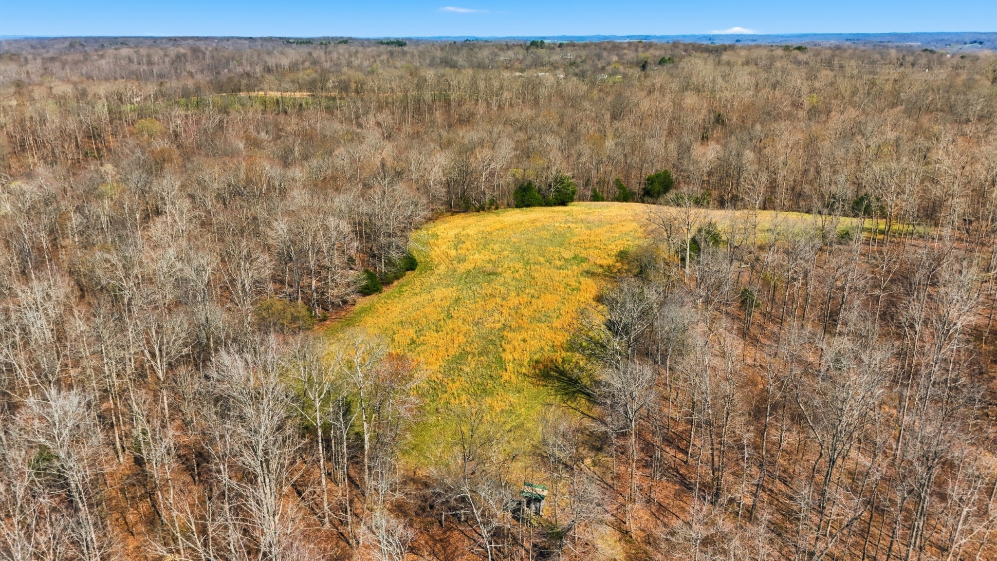 0 Herman Adams Road Cumberland City, TN 37050 - Photo 9 of 57