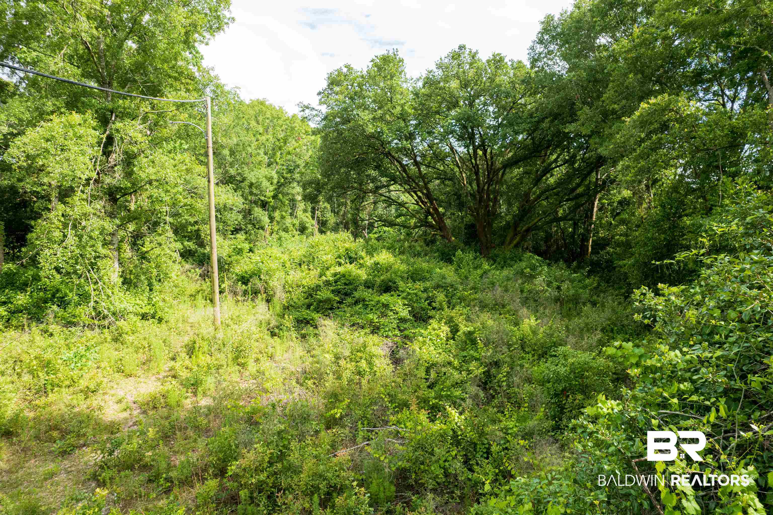 6861 Barnes Road Theodore, AL 36582 - Photo 12 of 12