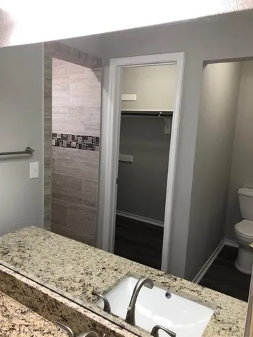 a bathroom with a sink and a toilet