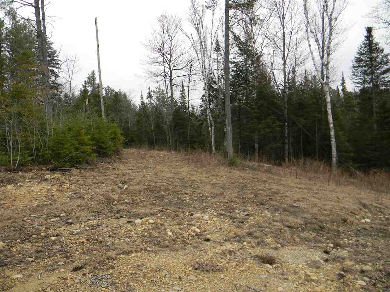34.3 Osprey Road, Unit 34 3 Stark, NH 03582 - Photo 5 of 17 Gallery Image 5
