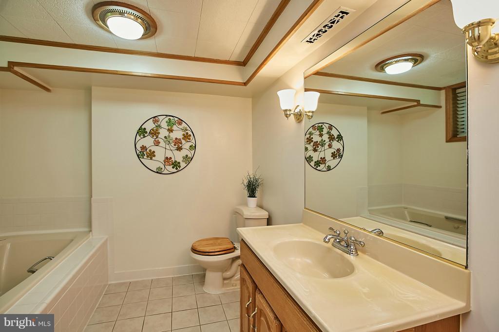 3910 Bryce Road Alexandria, VA 22312 - Photo 21 of 30 Lower Level Spa-Like Bath with Deep Tub