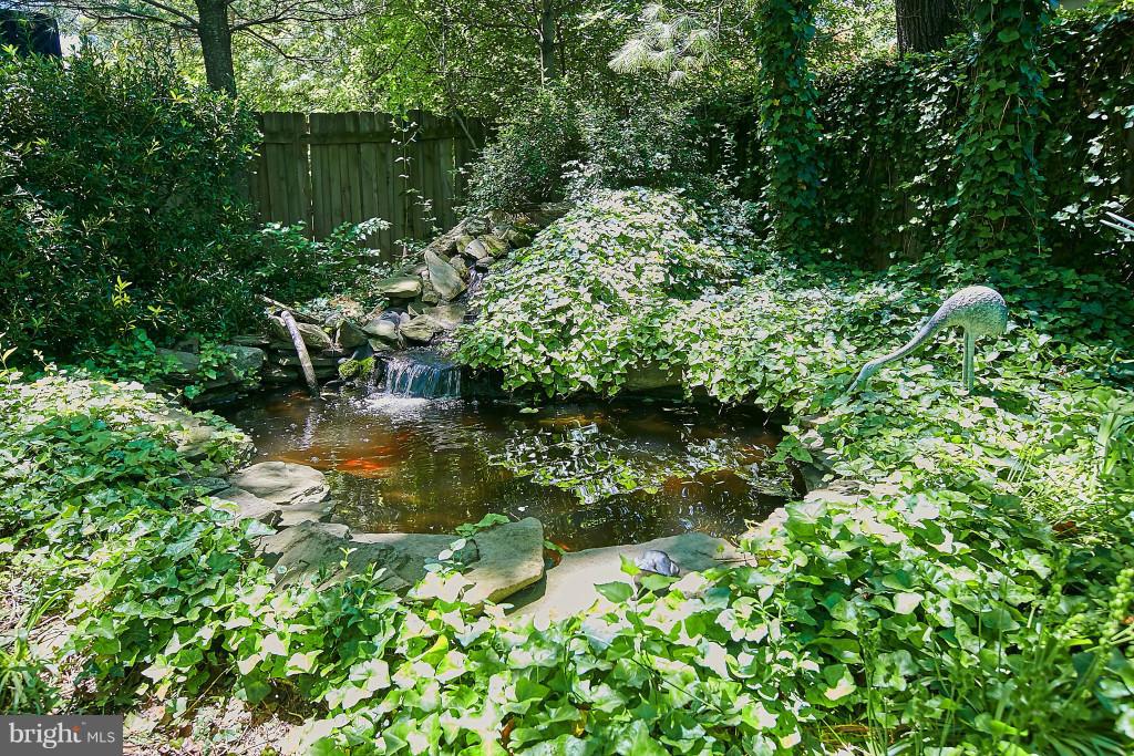 3910 Bryce Road Alexandria, VA 22312 - Photo 25 of 30 Extraordinary Waterfall/Koi Pond - Fish Convey!