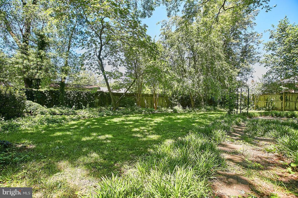 3910 Bryce Road Alexandria, VA 22312 - Photo 27 of 30 Private, Fenced, Gorgeous,Verdant Backyard!