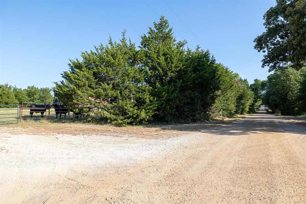 T B D Richards Road Sadler, TX 76264 - Photo 4 of 10 Gallery Image 4