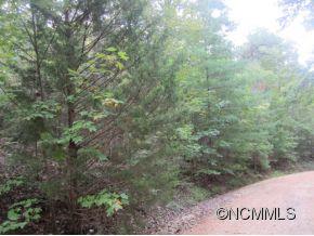 0 Rondo Ridge Road Tryon, NC 28782 - Photo 2 of 4