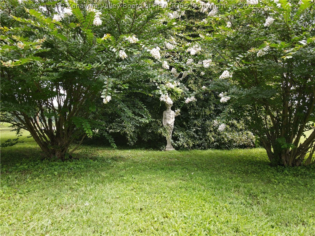 1425 Hemlock Road Ravenswood, WV 26164 - Photo 43 of 50 Gallery Image 43