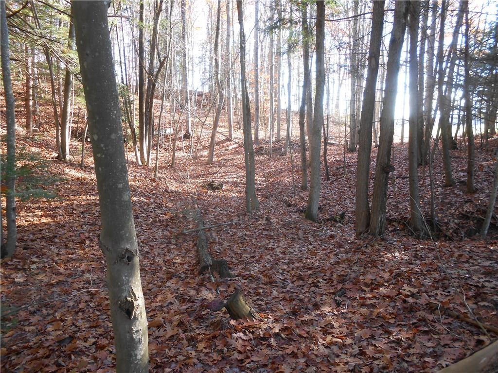 322 Boom Road Saco, ME 04072 - Photo 4 of 31 Wooded Portion of Property