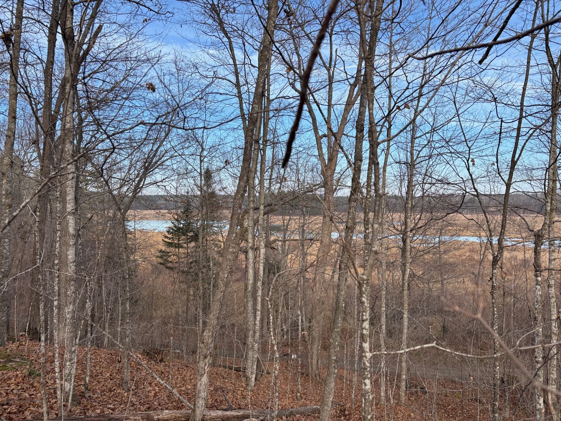11352 North Vasa Road Hayward, WI 54843 - Photo 1 of 26