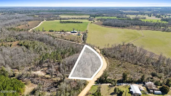 $20,000 | 0 Swaills Road, Marianna, FL 32448