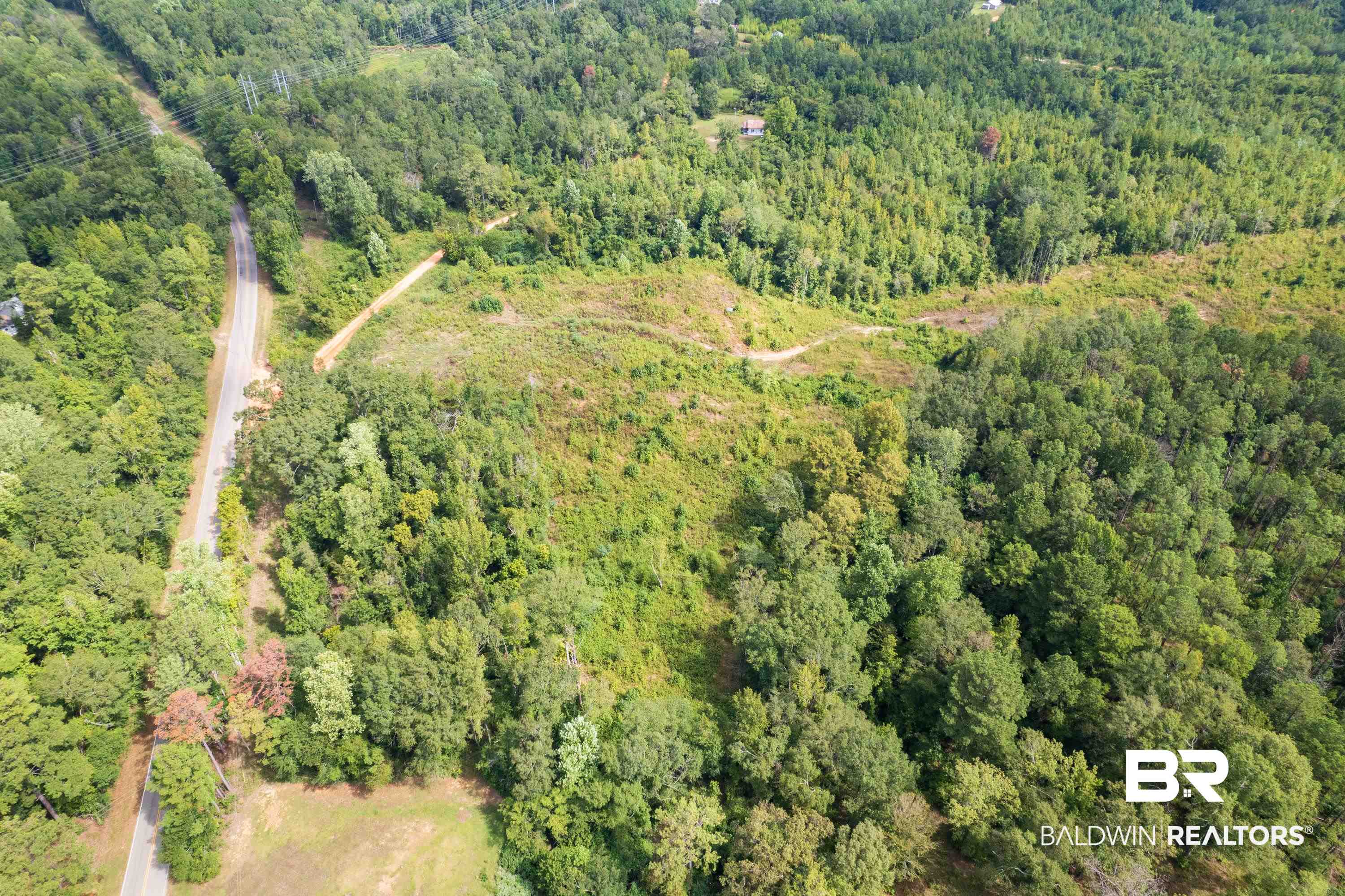0 Chilton Road Grand Bay, AL 36541 - Photo 10 of 13