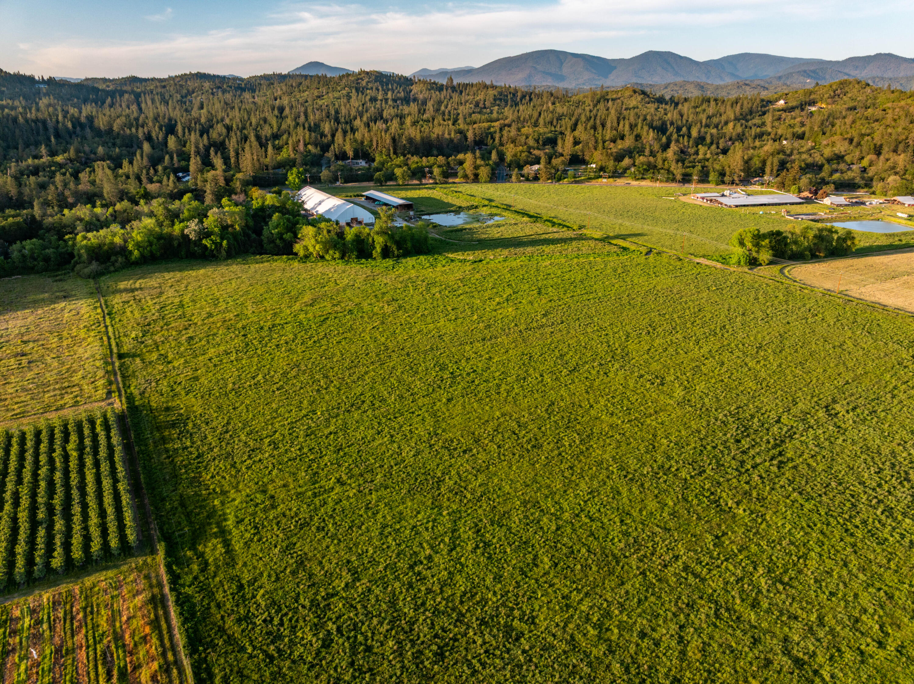 6531 Lower River Road Grants Pass, OR 97526 - Photo 61 of 63