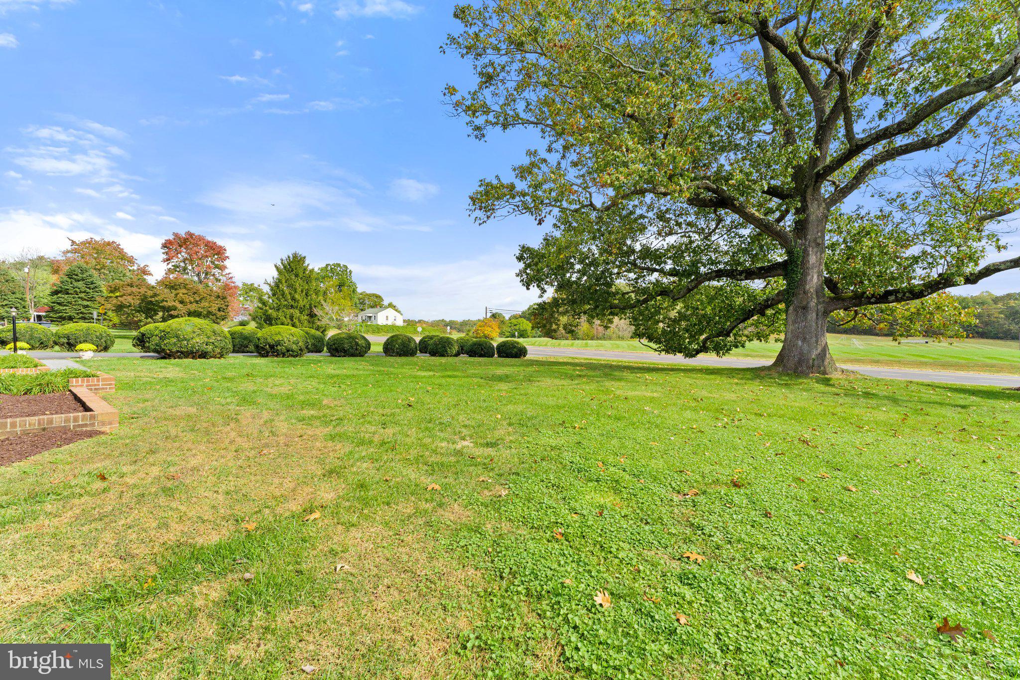 11166 Rixeyville Road Culpeper, VA 22701 - Photo 8 of 49