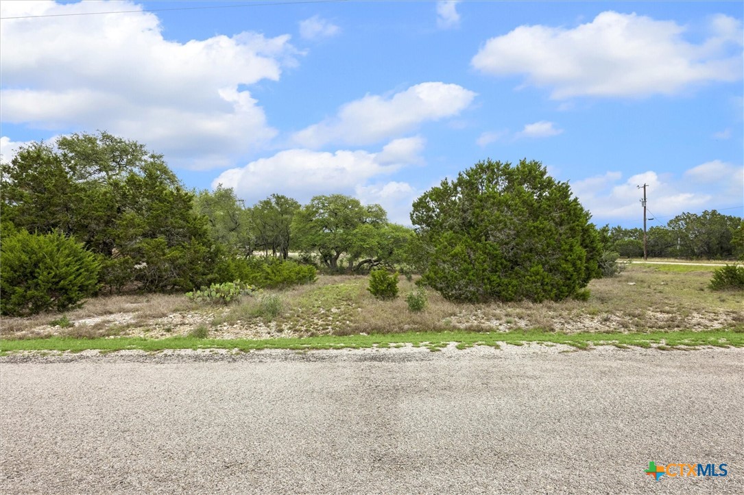 865 Rutherford Fischer, TX 78623 - Photo 2 of 11 a view of a street