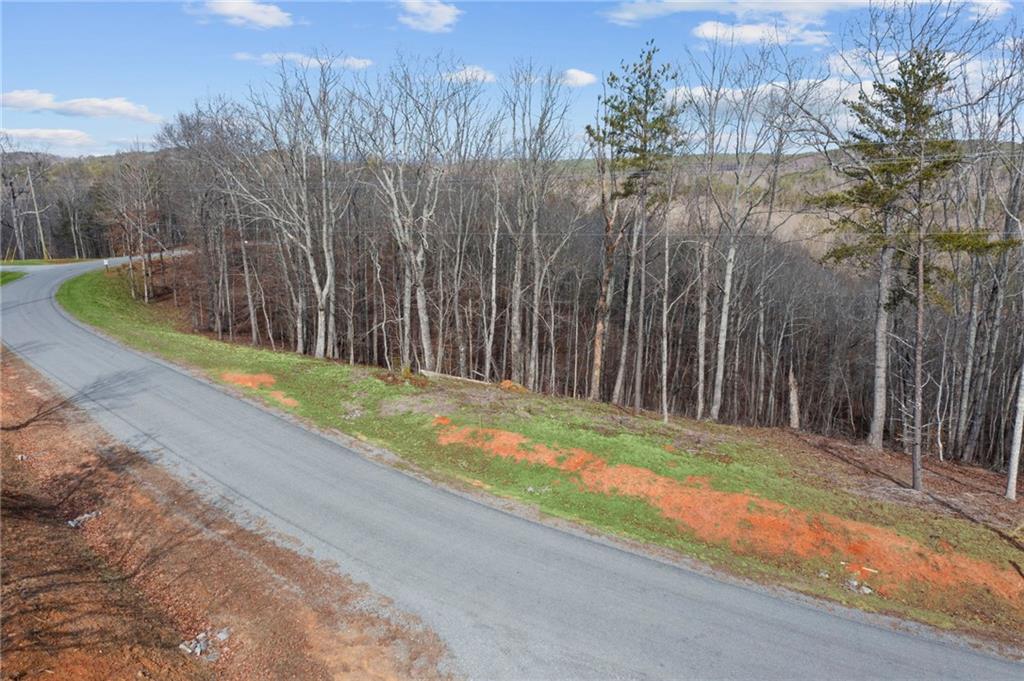 Lot 04 Blalock Mountain Road Talking Rock, GA 30175 - Photo 14 of 18 a view of backyard with wooden fence