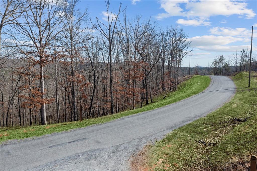 Lot 04 Blalock Mountain Road Talking Rock, GA 30175 - Photo 15 of 18 a view of a street