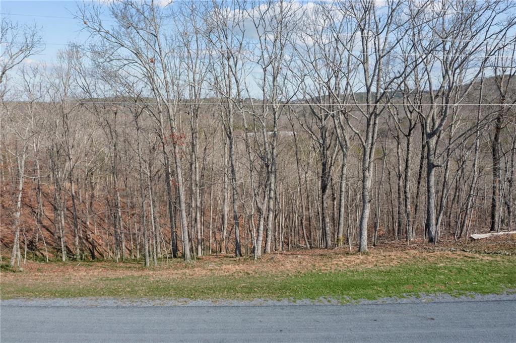 Lot 04 Blalock Mountain Road Talking Rock, GA 30175 - Photo 16 of 18 a view of a yard with large trees