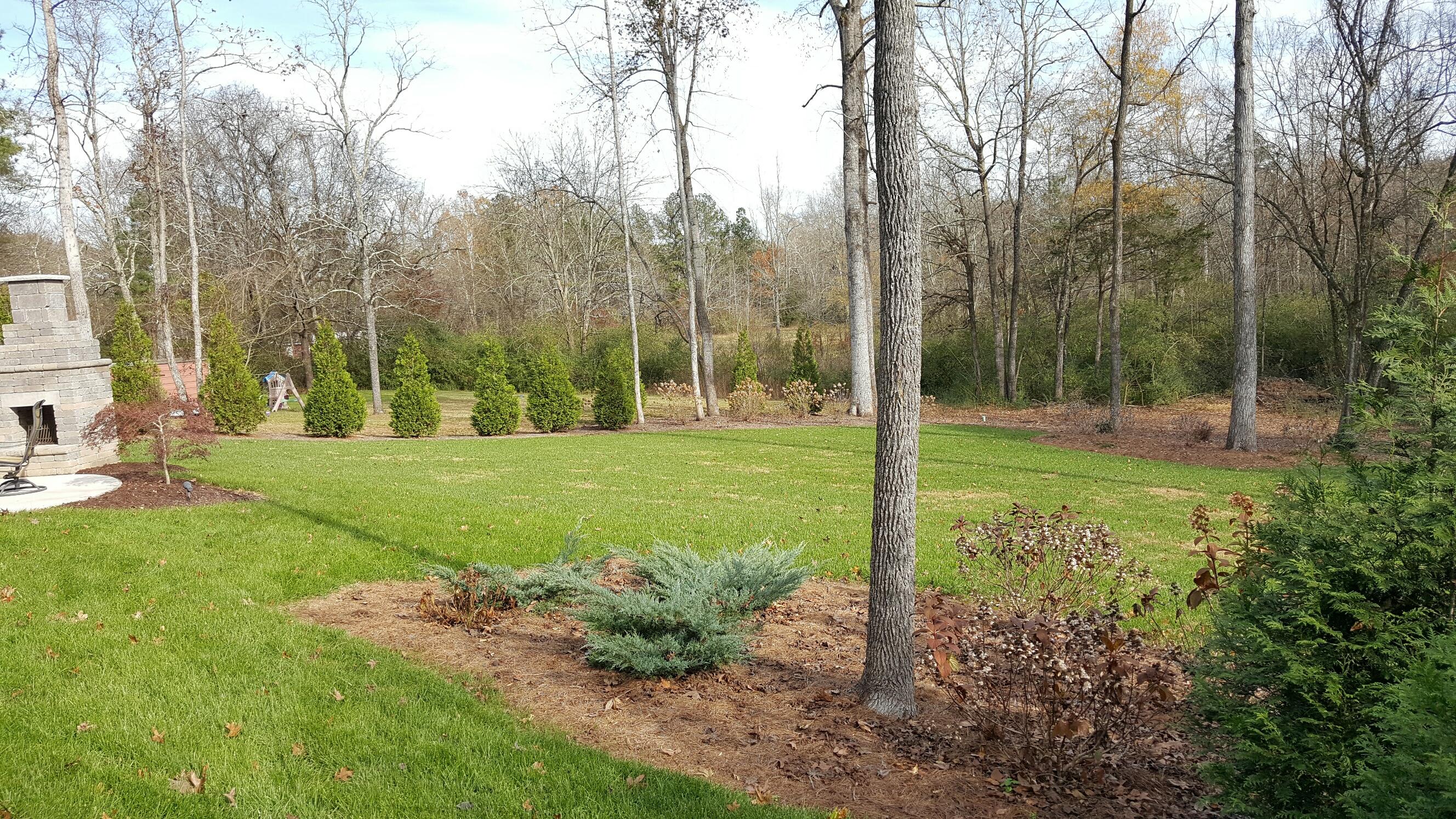 1806 Gray Road Chattanooga, TN 37421 - Photo 6 of 25 5