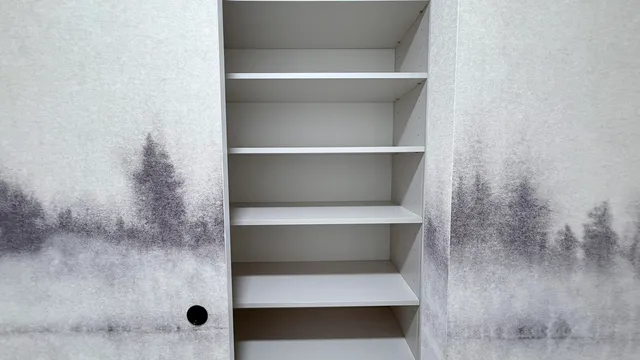 a shelf with a shower