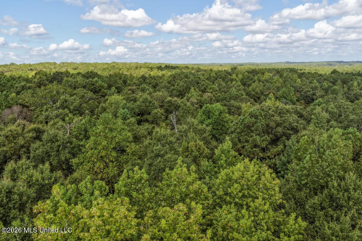 Craft Road Magee, MS 39111 - Photo 35 of 39 DJI_20260813110249_0591_D