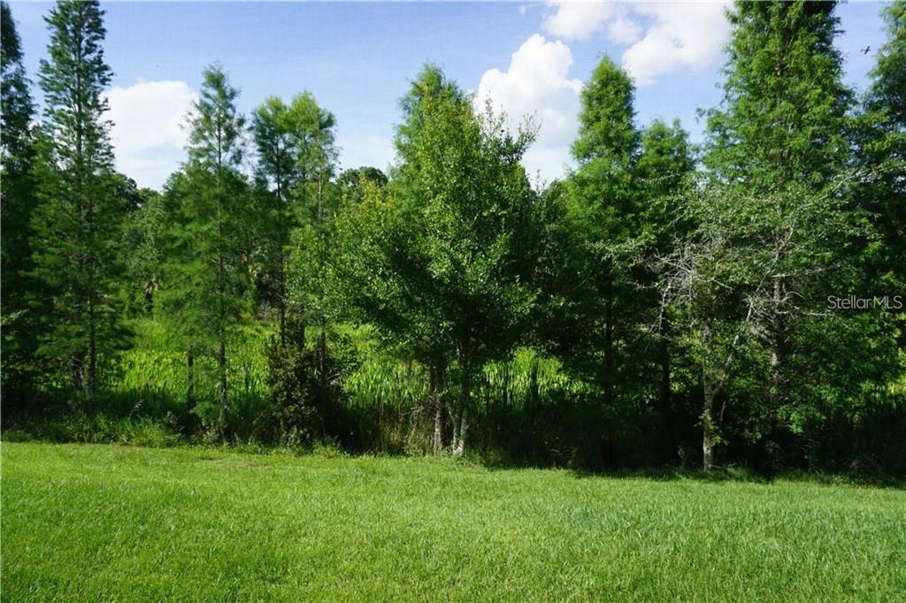 26543 Castleview Way Wesley Chapel, FL 33544 - Photo 15 of 37