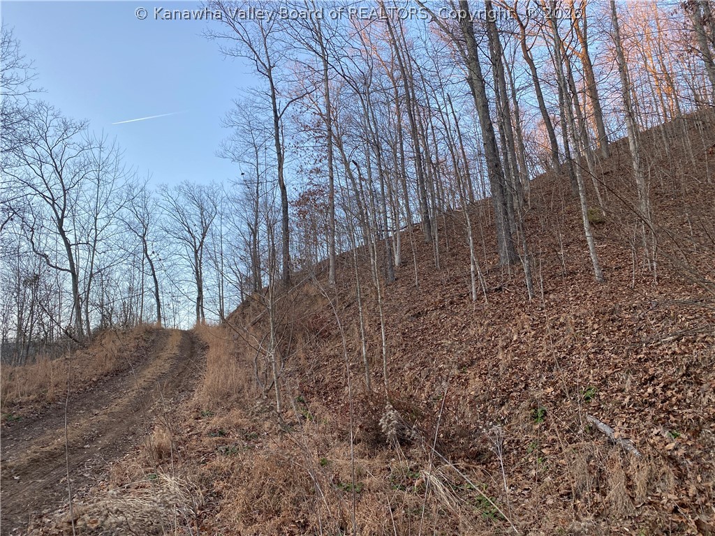 Tbd Fair Chance Road Danville, WV 25053 - Photo 6 of 20 Gallery Image 6