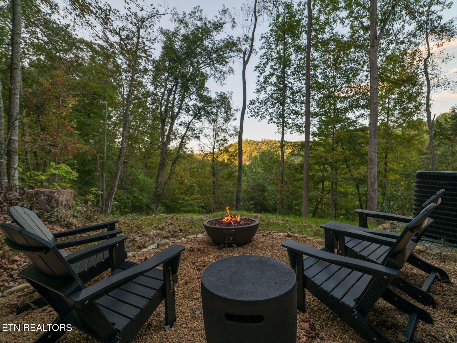 4317 Whetstone Road Sevierville, TN 37862 - Photo 37 of 50 37