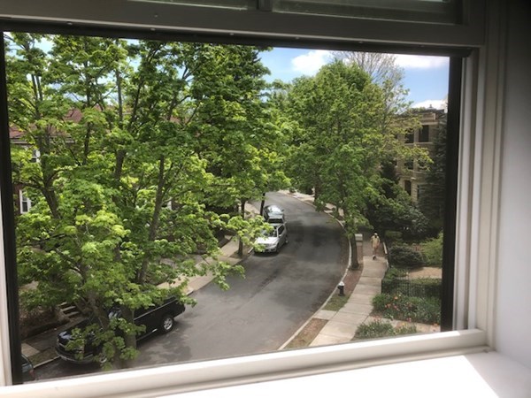 43 Addington Road, Unit 3 Brookline, MA 02445 - Photo 4 of 24 a view of a garden from a window