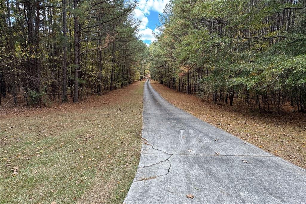 8467 Hearn Road Chattahoochee Hills, GA 30268 - Photo 87 of 93