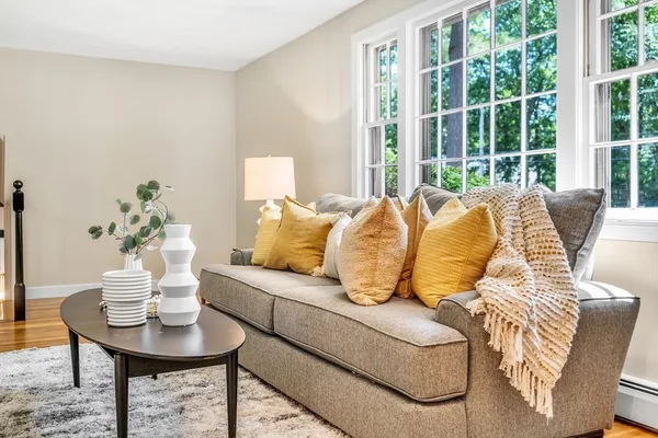 a living room with furniture and a potted plant
