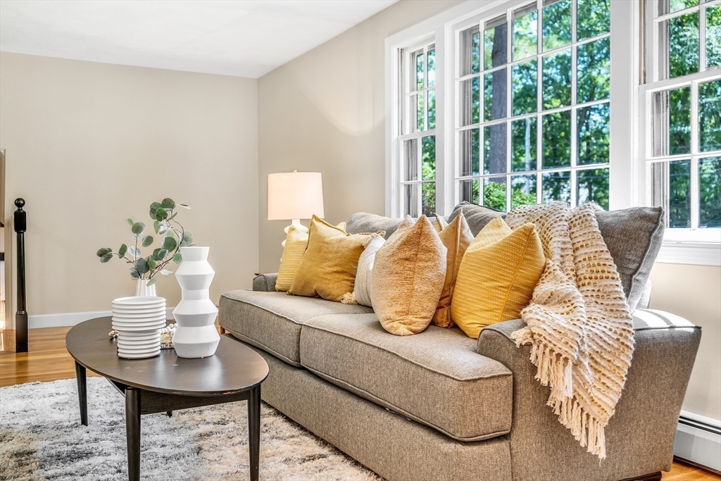 310 Hayward Mill Road Concord, MA 01742 - Photo 6 of 39 a living room with furniture and a potted plant
