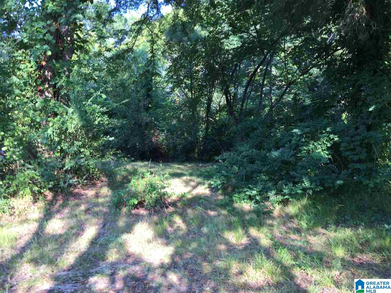 2089 Gate 8 Road Anniston, AL 36201 - Photo 3 of 16