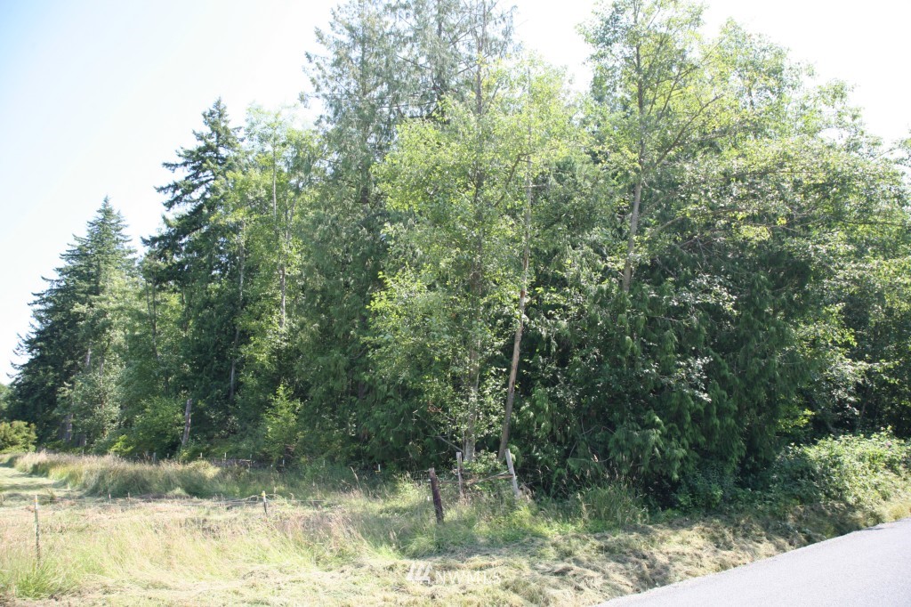 19679 County Line Road Mount Vernon, WA 98273 - Photo 13 of 15 Gallery Image 13