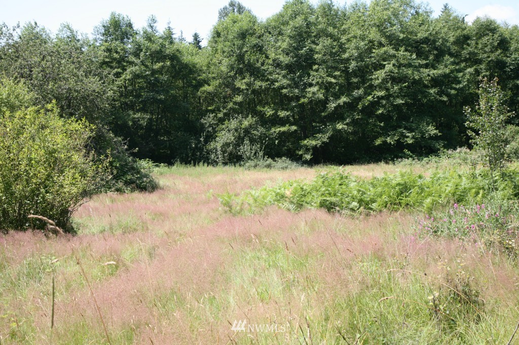 19679 County Line Road Mount Vernon, WA 98273 - Photo 4 of 15 Gallery Image 4