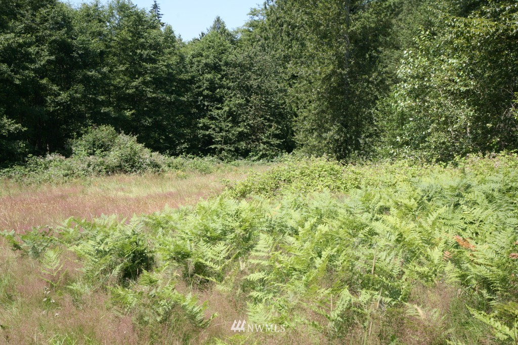 19679 County Line Road Mount Vernon, WA 98273 - Photo 5 of 15 Gallery Image 5